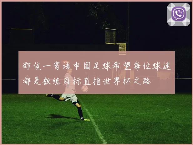 邵佳一寄语中国足球希望每位球迷都是教练目标直指世界杯之路